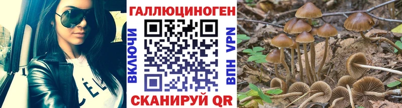 Галлюциногенные грибы мухоморы  Купить закладки  Райчихинск 